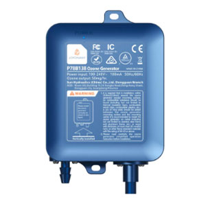 Joyonway Ozone Generator - P78B138